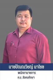 นายปัณณวิชญ์ นาไชย